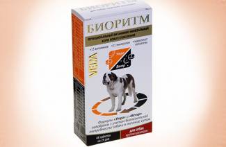 Vitaminas para cachorros de raças grandes