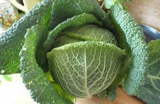 Kapusta Savoy