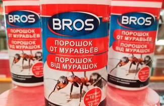 Bros de formigas