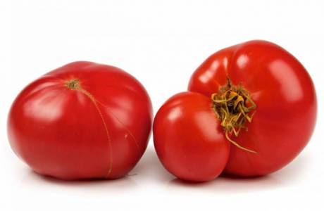 Tomate Bull Heart