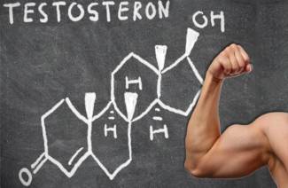 La norma de testosterona en los hombres.