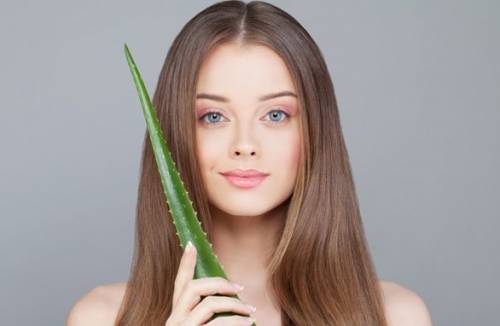 Aloe para cabelo