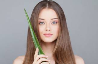 Aloe na vlasy