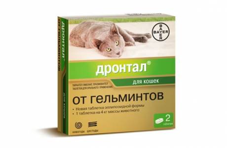 Drontal para gatos