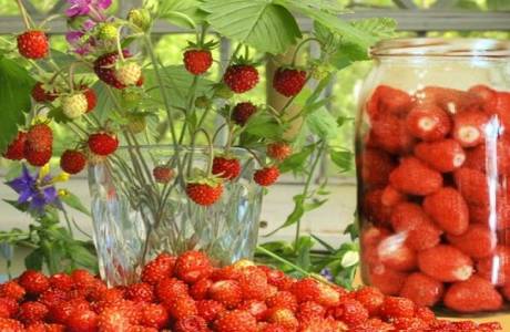 Compota de morango para o inverno