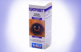 Ciprovet dla kotów