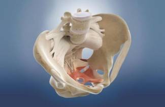 Ilium