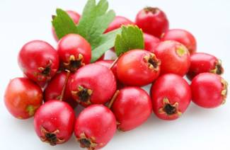 Χρήσιμες ιδιότητες και αντενδείξεις του Hawthorn