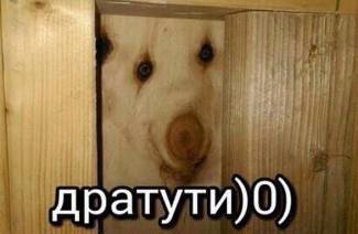 Čo je to dratuti