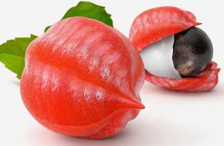 Τι είναι το guarana