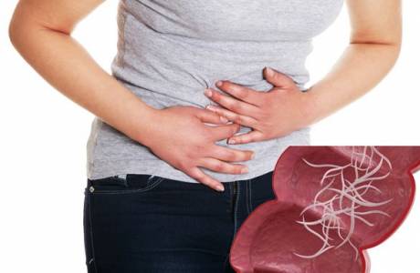 Worm medicine para humanos