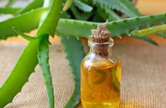 Aloe com mel