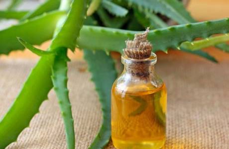 Aloes z miodem