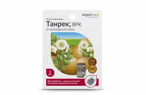 Tanrek z stonki ziemniaczanej