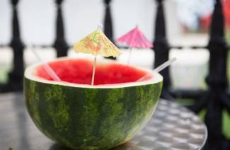 Melón s vodkou