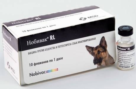 Nobivak para cães