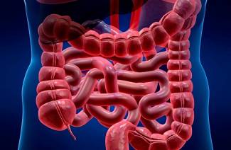Tratamento de Atonia de Intestino