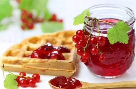 Przepis na galaretkę z czerwonych porzeczek