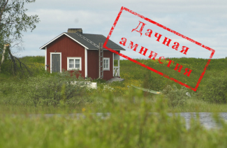 Krajowa amnestia