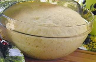 Levedura de massa na geladeira