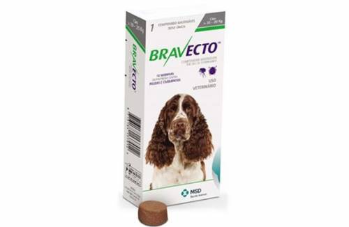 Bravecto dla psów