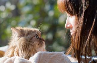 Toxoplasmosis del cerebro.