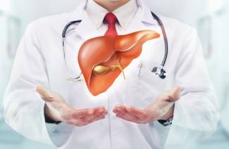 Reparación eficaz del hígado después de los antibióticos.