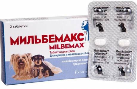 Milbemax dla psów