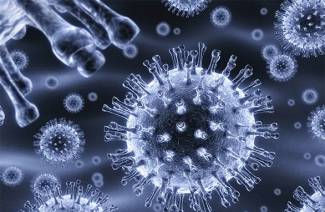 Vírus Herpes simplex
