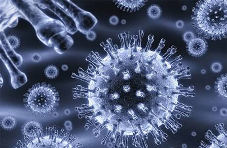 Vírus Herpes simplex