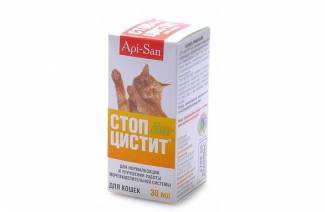 Pare de cistite para gatos