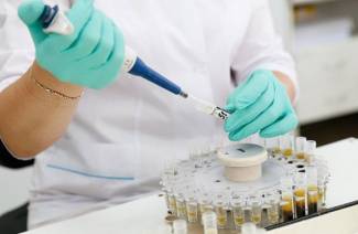 Fiebre del dengue