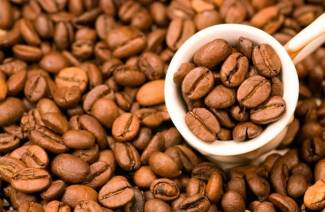 O que é robusta
