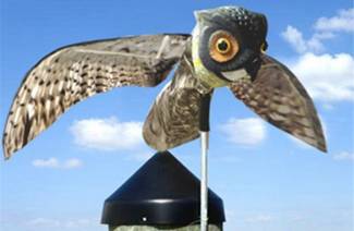 Ultrazvukový Bird Repeller
