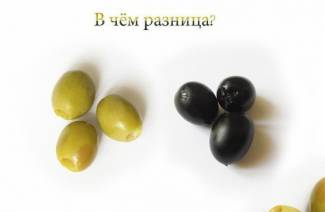¿Cuál es la diferencia entre aceitunas y aceitunas