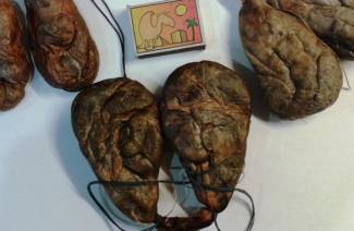 Vad behandlar en bäverström