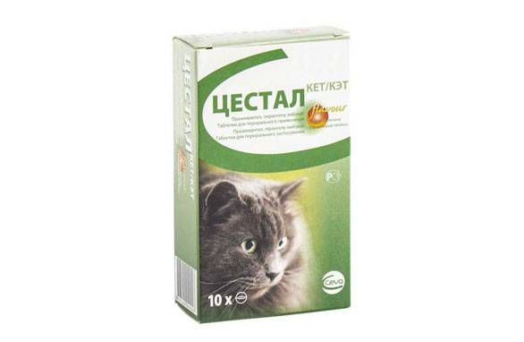 Cestal dla kotów