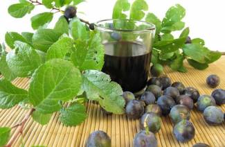 Vinho espinho em casa