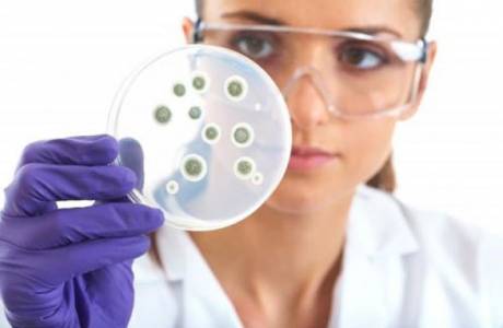 Siembra de sensibilidad a antibióticos