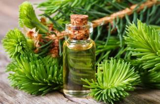 Propiedades medicinales y contraindicaciones del aceite de abeto.