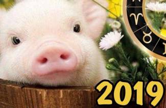 Rok Świni 2019 dla znaków zodiaku