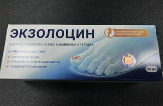 Egzolocyna grzybowa