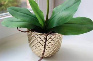 Hrnce na orchidey