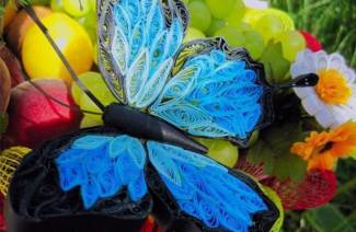Motýľ quilling
