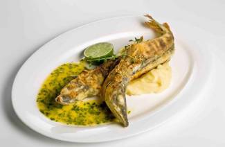 Peixe de gelo