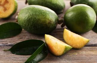 Feijoa kompot