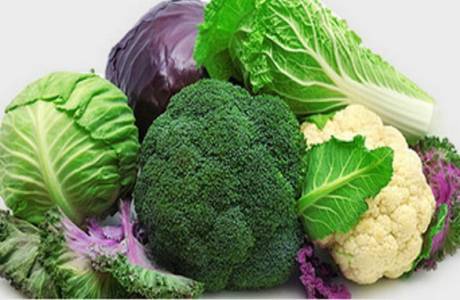 5 dias dieta de repolho para perda de peso