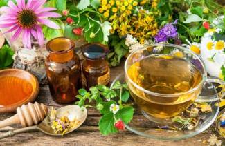 7 ervas para tosse e bronquite