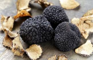 Onde trufas caras e caras crescem na Rússia