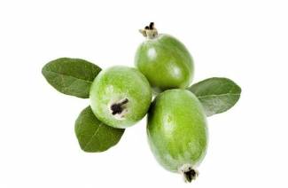 Ako jesť feijoa